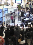 manakana003.jpg